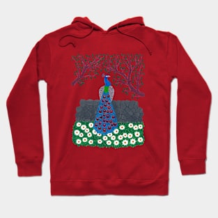 The Peacock Charm acrylic design Hoodie